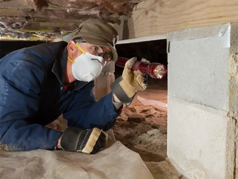 termite inspector in a crawl space checking a home for termites.