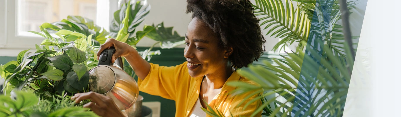 Best Indoor Plants for Winter